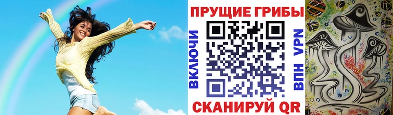 что такое   Колпашево  Галлюциногенные грибы Magic Shrooms 